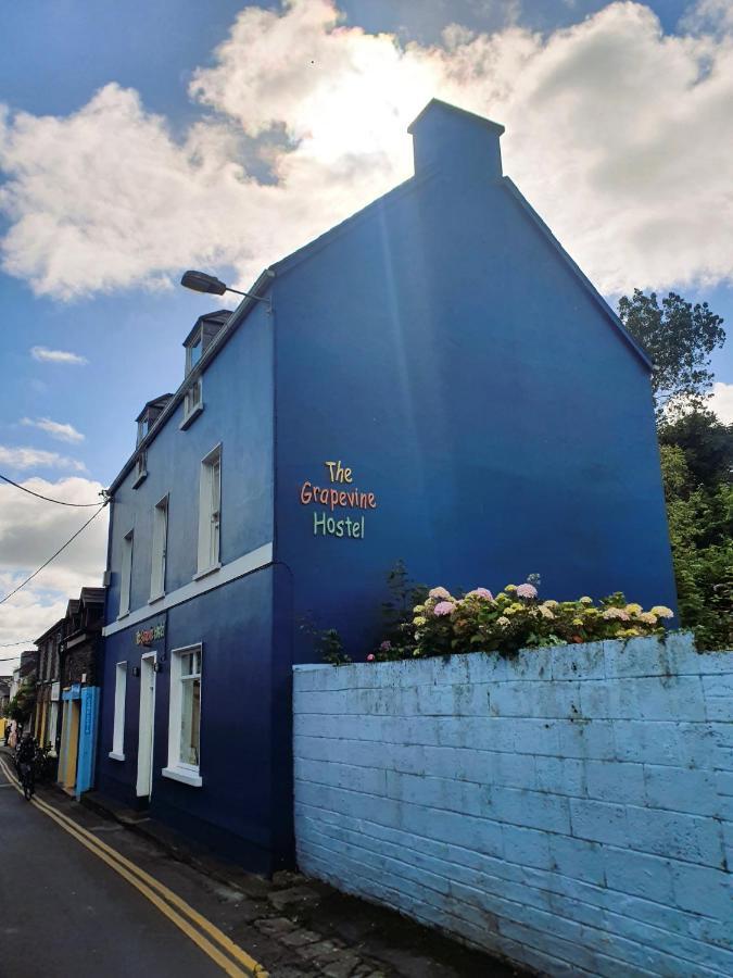 The Grapevine Hostel Dingle Exterior foto